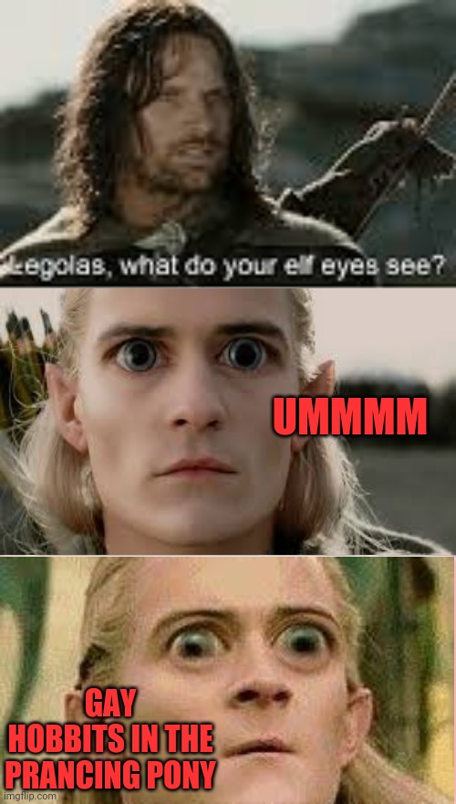 Elf | UMMMM; GAY HOBBITS IN THE PRANCING PONY | image tagged in hobbits,lord of the rings,gollum,ymca,fruitcakes | made w/ Imgflip meme maker
