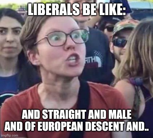 Angry Liberal | LIBERALS BE LIKE: AND STRAIGHT AND MALE AND OF EUROPEAN DESCENT AND.. | image tagged in angry liberal | made w/ Imgflip meme maker