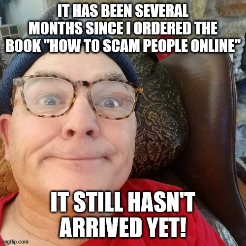 durl earl |  IT HAS BEEN SEVERAL MONTHS SINCE I ORDERED THE BOOK "HOW TO SCAM PEOPLE ONLINE"; IT STILL HASN'T ARRIVED YET! | image tagged in durl earl | made w/ Imgflip meme maker