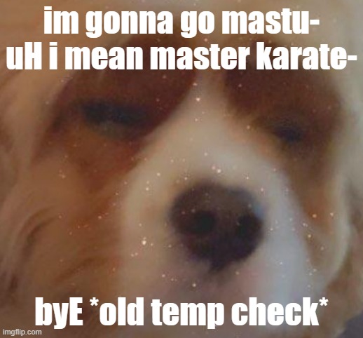 . | im gonna go mastu- uH i mean master karate-; byE *old temp check* | image tagged in narwhal doge | made w/ Imgflip meme maker