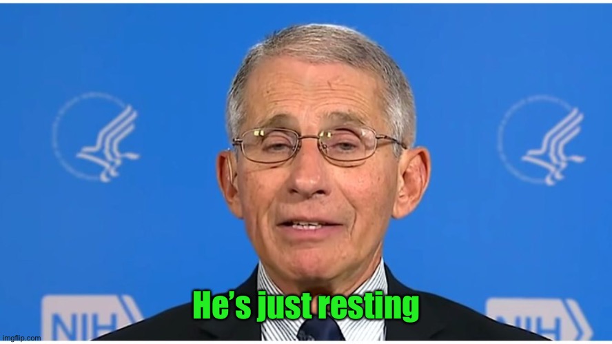 Dr Fauci | He’s just resting | image tagged in dr fauci | made w/ Imgflip meme maker