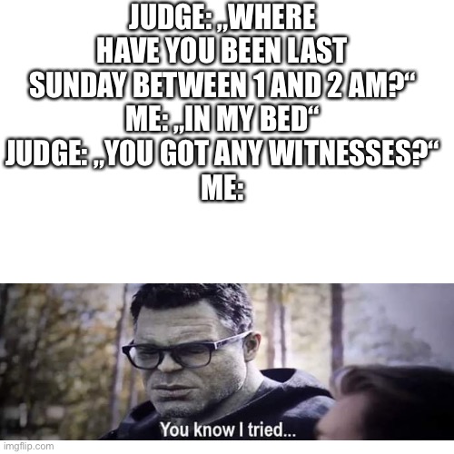 OoOoOf | JUDGE: „WHERE HAVE YOU BEEN LAST SUNDAY BETWEEN 1 AND 2 AM?“
ME: „IN MY BED“
JUDGE: „YOU GOT ANY WITNESSES?“
ME: | image tagged in memes,blank transparent square | made w/ Imgflip meme maker