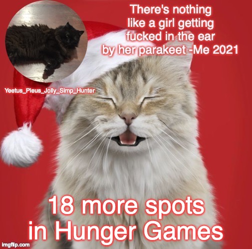 Christmas Template | 18 more spots in Hunger Games | image tagged in christmas template | made w/ Imgflip meme maker