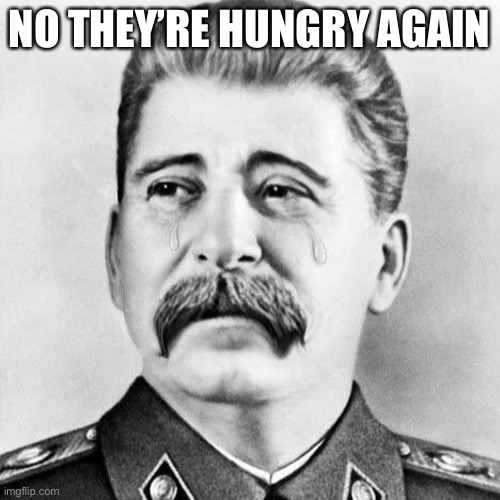 NO THEY’RE HUNGRY AGAIN | made w/ Imgflip meme maker