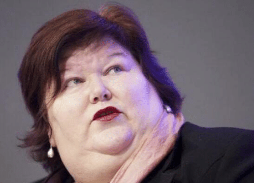 Health Minister De Block fat politician vaccine Blank Meme Template