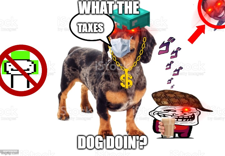 What the dog doin? | WHAT THE; TAXES; DOG DOIN'? | image tagged in what the dog doin | made w/ Imgflip meme maker