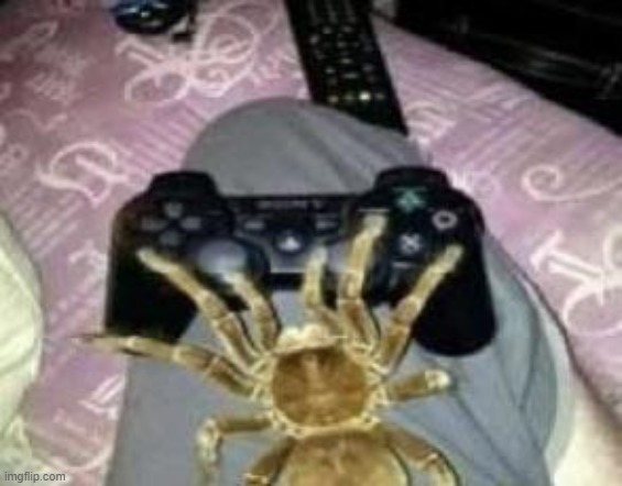 tarantula gaming | made w/ Imgflip meme maker