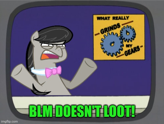 what really grinds my gears Octavia Melody | BLM DOESN'T LOOT! | image tagged in what really grinds my gears octavia melody | made w/ Imgflip meme maker