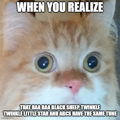 Sudden Realization Cat | WHEN YOU REALIZE; THAT BAA BAA BLACK SHEEP, TWINKLE TWINKLE LITTLE STAR AND ABCS HAVE THE SAME TUNE | image tagged in sudden realization cat | made w/ Imgflip meme maker