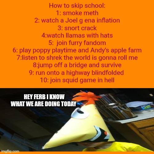 Phineas I'm sorry waht? | How to skip school:
1: smoke meth
2: watch a Joel g ena inflation
3: snort crack
4:watch llamas with hats
5:  join furry fandom
6: play poppy playtime and Andy's apple farm
7:listen to shrek the world is gonna roll me
8:jump off a bridge and survive
9: run onto a highway blindfolded 
10: join squid game in hell; HEY FERB I KNOW WHAT WE ARE DOING TODAY | image tagged in memes,blank transparent square | made w/ Imgflip meme maker