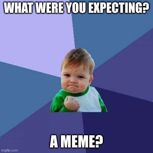 Success Kid | WHAT WERE YOU EXPECTING? A MEME? | image tagged in memes,success kid | made w/ Imgflip meme maker