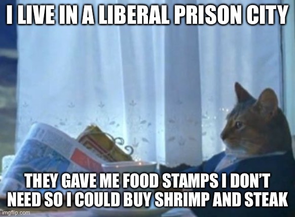 I Should Buy A Boat Cat Meme | I LIVE IN A LIBERAL PRISON CITY THEY GAVE ME FOOD STAMPS I DON’T NEED SO I COULD BUY SHRIMP AND STEAK | image tagged in memes,i should buy a boat cat | made w/ Imgflip meme maker