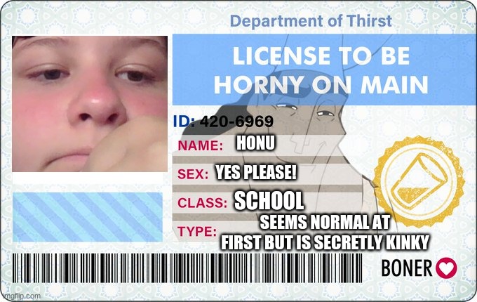 License To Be Horny On Main | HONU; YES PLEASE! SCHOOL; SEEMS NORMAL AT FIRST BUT IS SECRETLY KINKY | image tagged in license to be horny on main | made w/ Imgflip meme maker