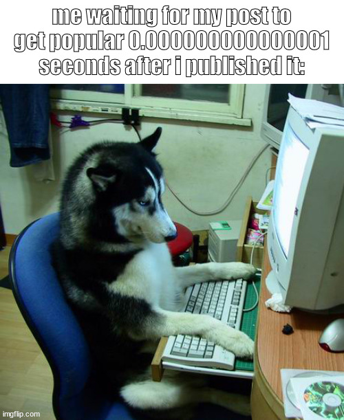 I Have No Idea What I Am Doing |  me waiting for my post to get popular 0.000000000000001 seconds after i published it: | image tagged in memes,i have no idea what i am doing,funny,siberian husky,computer | made w/ Imgflip meme maker