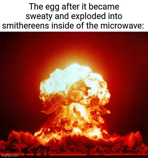 Egg | The egg after it became sweaty and exploded into smithereens inside of the microwave: | image tagged in nuke,microwave,egg,sweaty,explosion,memes | made w/ Imgflip meme maker