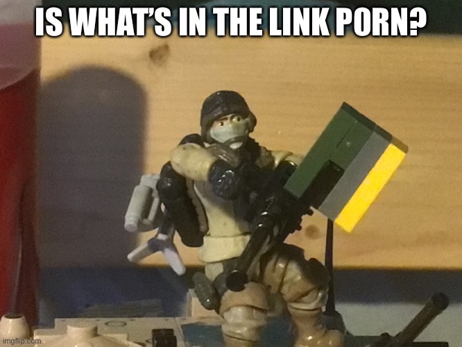 https://imgflip.com/m/nudes | IS WHAT’S IN THE LINK P0RN? | image tagged in the ma duce kid | made w/ Imgflip meme maker