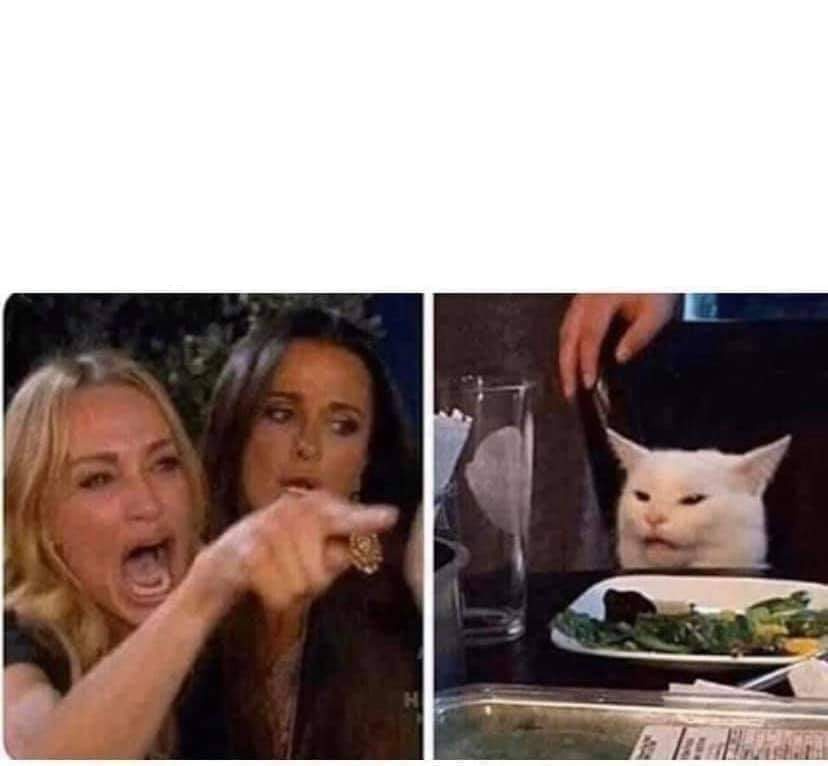 High Quality Woman Argues With Cat Blank Meme Template
