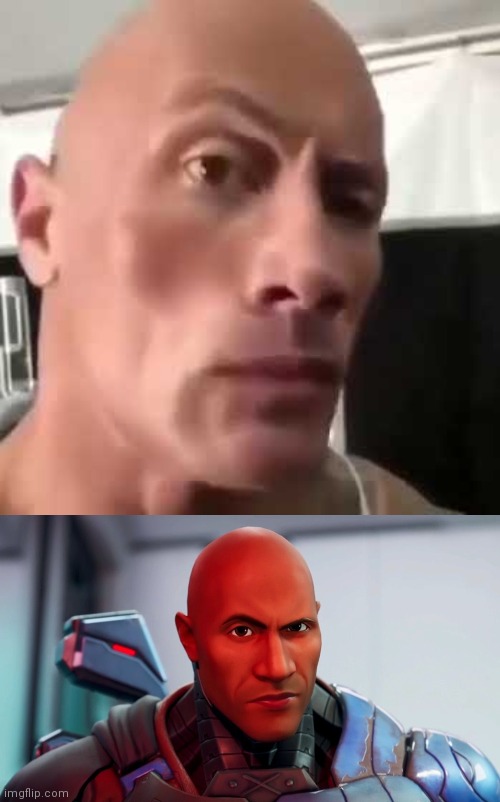 I love them both | image tagged in the rock eyebrows,the rock eyebrow | made w/ Imgflip meme maker