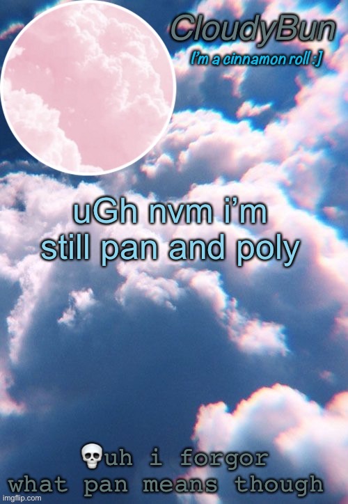 CloudyBun template | uGh nvm i’m still pan and poly; 💀uh i forgor what pan means though | image tagged in cloudybun template | made w/ Imgflip meme maker