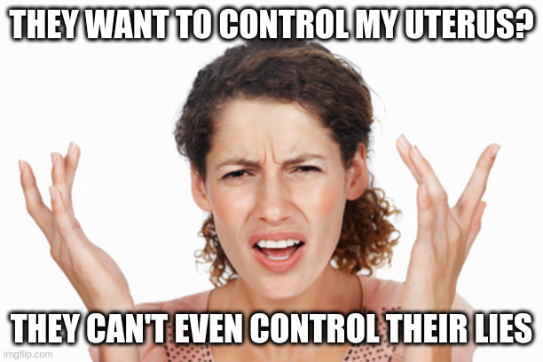 Indignant | THEY WANT TO CONTROL MY UTERUS? THEY CAN'T EVEN CONTROL THEIR LIES | image tagged in indignant | made w/ Imgflip meme maker