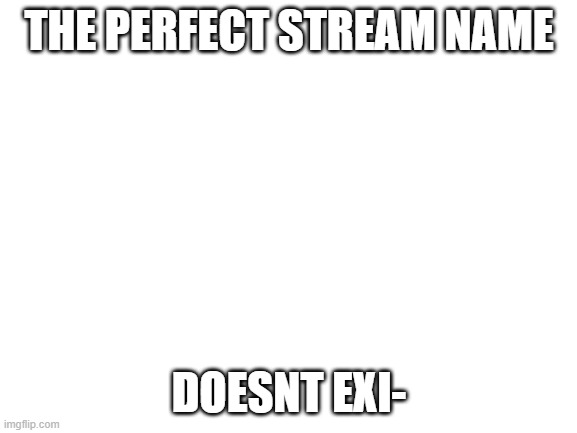 the perfect | THE PERFECT STREAM NAME; DOESNT EXI- | image tagged in blank white template | made w/ Imgflip meme maker