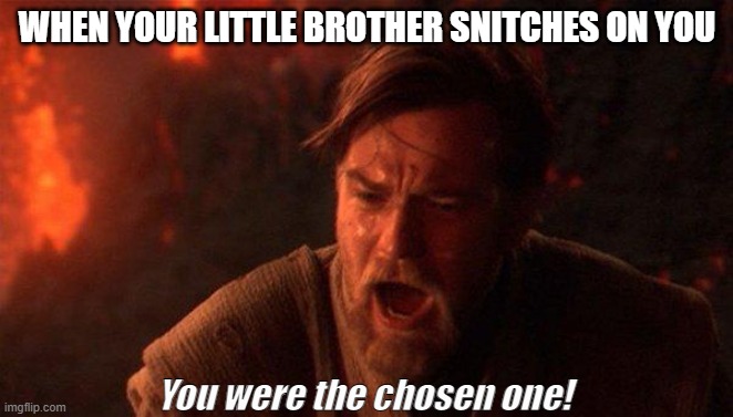 You Were The Chosen One (Star Wars) |  WHEN YOUR LITTLE BROTHER SNITCHES ON YOU; You were the chosen one! | image tagged in memes,you were the chosen one star wars | made w/ Imgflip meme maker