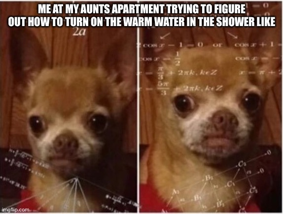 dog math | ME AT MY AUNTS APARTMENT TRYING TO FIGURE OUT HOW TO TURN ON THE WARM WATER IN THE SHOWER LIKE | image tagged in dog math | made w/ Imgflip meme maker