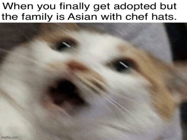 I hate when this happens... | image tagged in intensifies,cat | made w/ Imgflip meme maker