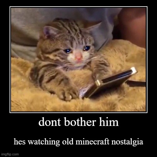 image tagged in demotivationals,cats,nostalgia,minecraft | made w/ Imgflip demotivational maker