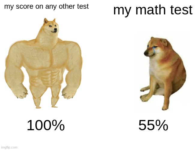 Buff Doge vs. Cheems | my score on any other test; my math test; 100%; 55% | image tagged in memes,buff doge vs cheems | made w/ Imgflip meme maker