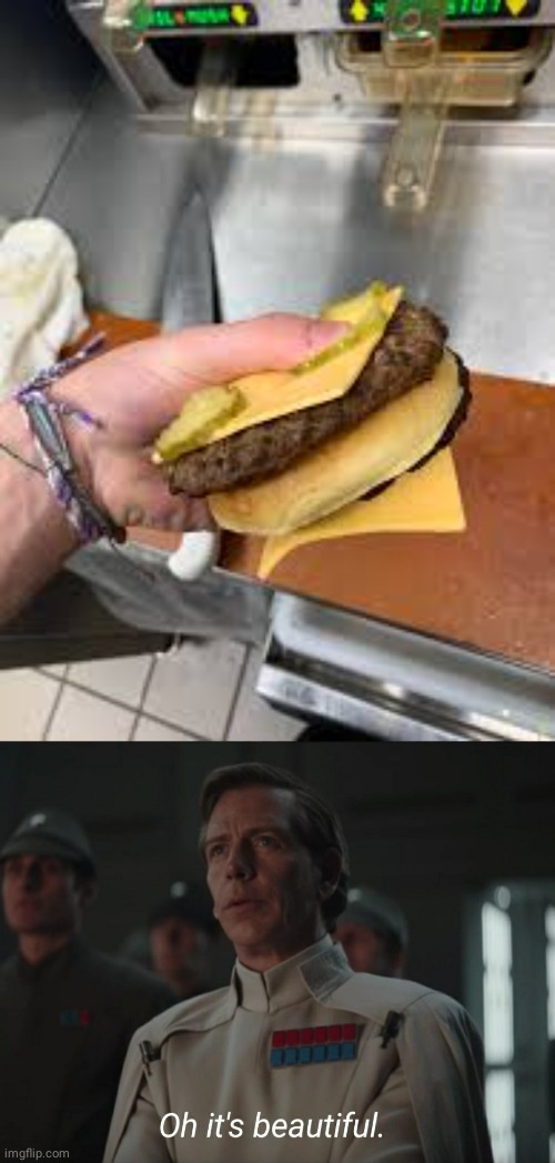 Beesechurger irl | image tagged in oh it's beautiful,cheeseburger,burger,memes,meme,burgers | made w/ Imgflip meme maker