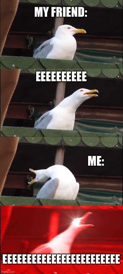 Inhaling Seagull | MY FRIEND:; EEEEEEEEEE; ME:; EEEEEEEEEEEEEEEEEEEEEEEE | image tagged in memes,inhaling seagull | made w/ Imgflip meme maker