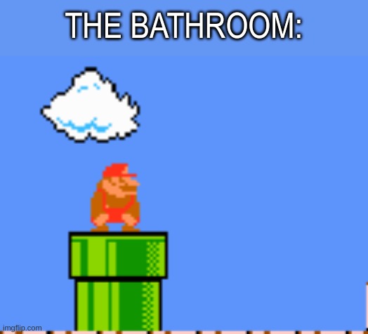 THE BATHROOM: | made w/ Imgflip meme maker