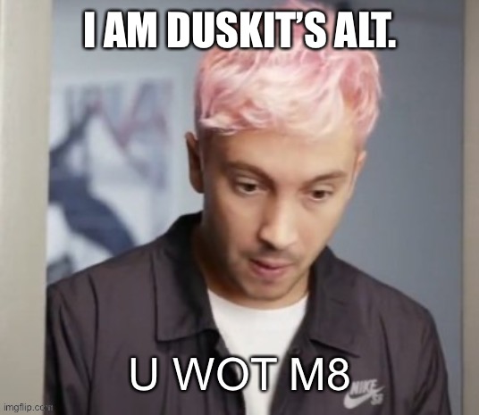 Tyler Joseph u wot m8 | I AM DUSKIT’S ALT. | image tagged in tyler joseph u wot m8 | made w/ Imgflip meme maker