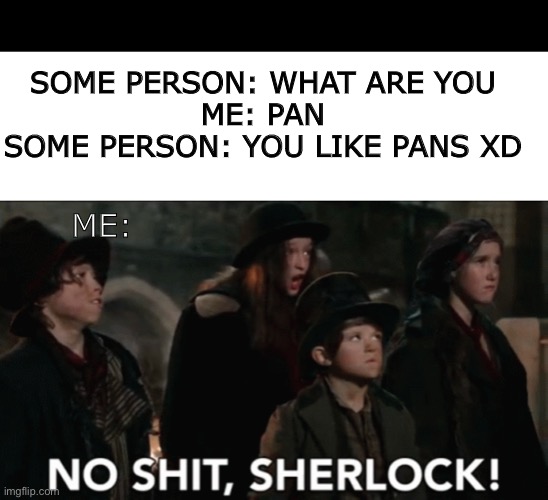XD | SOME PERSON: WHAT ARE YOU 
ME: PAN 
SOME PERSON: YOU LIKE PANS XD; ME: | image tagged in no shit sherlock | made w/ Imgflip meme maker