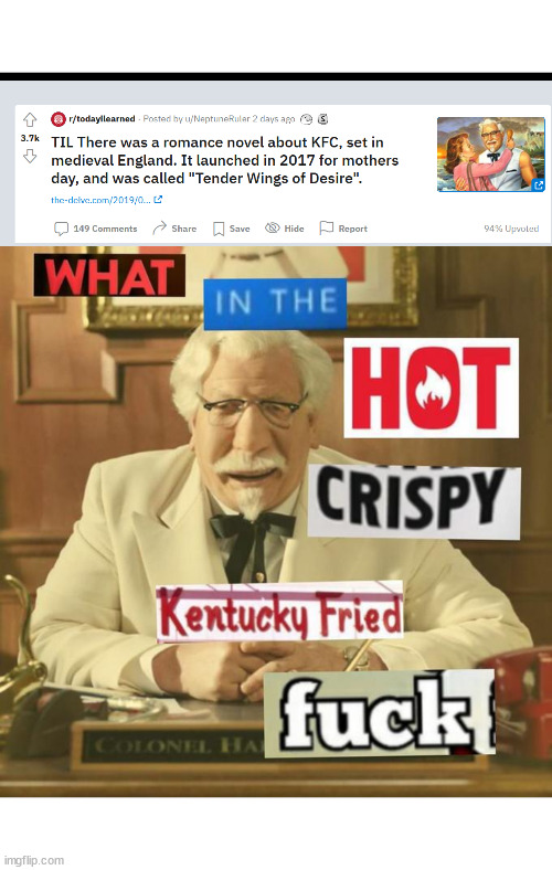 What in the hell did you do?!?! | image tagged in what in the hot crispy kentucky fried frick | made w/ Imgflip meme maker