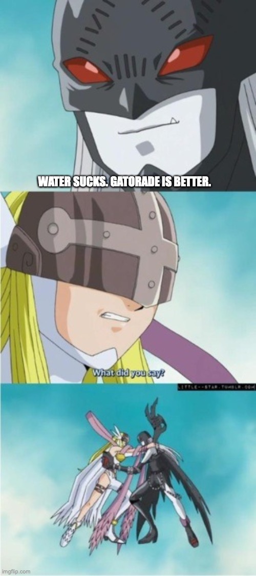 Angewomon and LadyDevimon Fight | WATER SUCKS. GATORADE IS BETTER. | image tagged in angewomon and ladydevimon fight,water | made w/ Imgflip meme maker