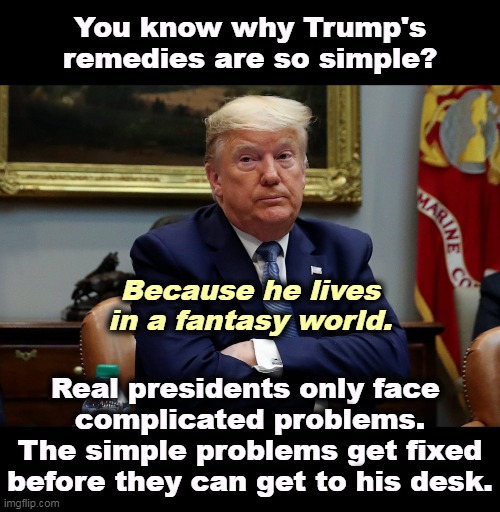 Trump shrug arms folded eyes dilated | You know why Trump's remedies are so simple? Because he lives in a fantasy world. Real presidents only face 
complicated problems. The simple problems get fixed before they can get to his desk. | image tagged in trump shrug arms folded eyes dilated,trump,fantasy,problems,incompetence | made w/ Imgflip meme maker