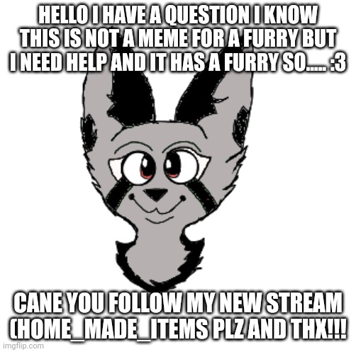 Plz OwO | HELLO I HAVE A QUESTION I KNOW THIS IS NOT A MEME FOR A FURRY BUT I NEED HELP AND IT HAS A FURRY SO..... :3; CANE YOU FOLLOW MY NEW STREAM (HOME_MADE_ITEMS PLZ AND THX!!! | image tagged in art by emperor_lunar,furry | made w/ Imgflip meme maker