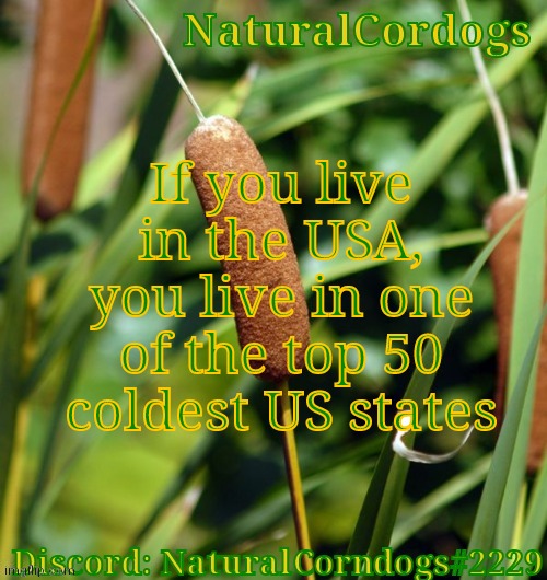 If you live in the USA, you live in one of the top 50 coldest US states | image tagged in naturalcordogs template | made w/ Imgflip meme maker