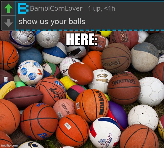 My balls :D | HERE: | image tagged in sports balls | made w/ Imgflip meme maker