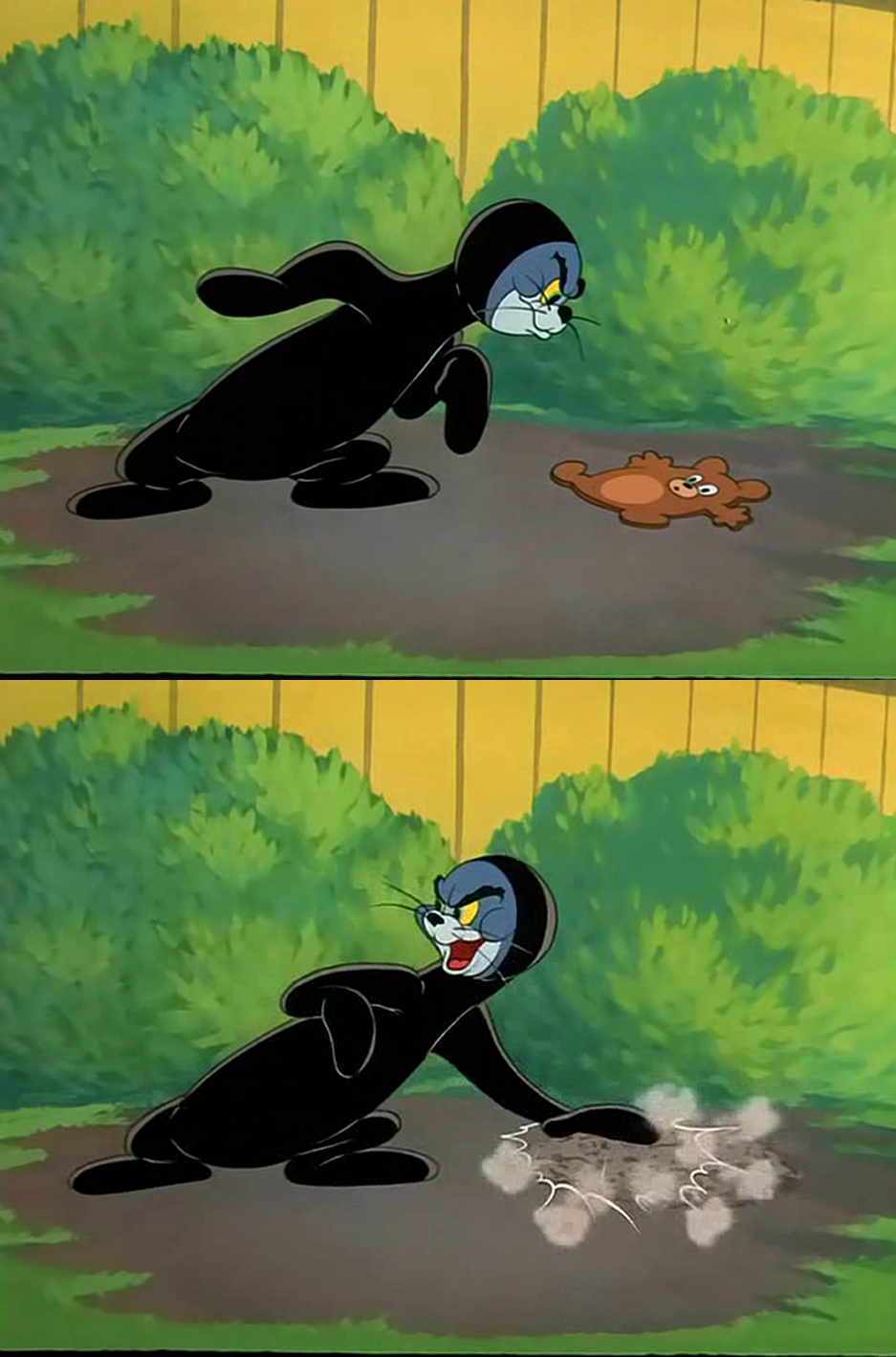 High Quality tom and jerry seal Blank Meme Template