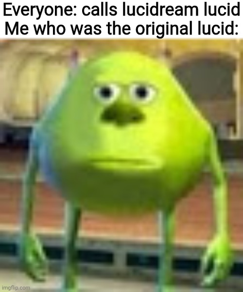 Sully Wazowski | Everyone: calls lucidream lucid
Me who was the original lucid: | image tagged in sully wazowski | made w/ Imgflip meme maker