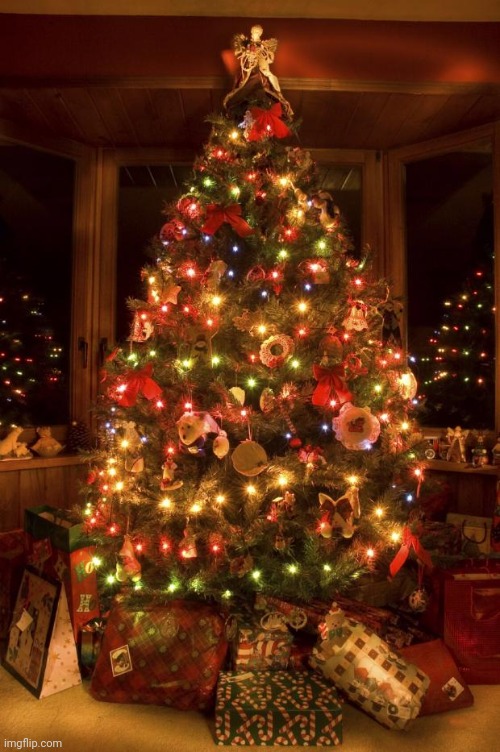 Christmas Tree | image tagged in christmas tree | made w/ Imgflip meme maker