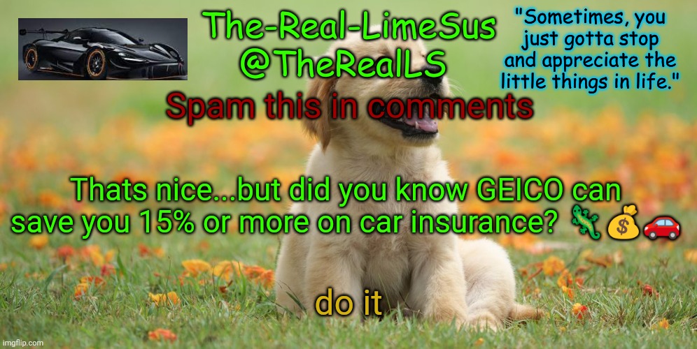 i have successfully trolled myself by title change | Spam this in comments; Thats nice...but did you know GEICO can save you 15% or more on car insurance? 🦎💰🚗; do it | image tagged in limesus doggo announcement temp v1 4,tiktak song,don't ask | made w/ Imgflip meme maker
