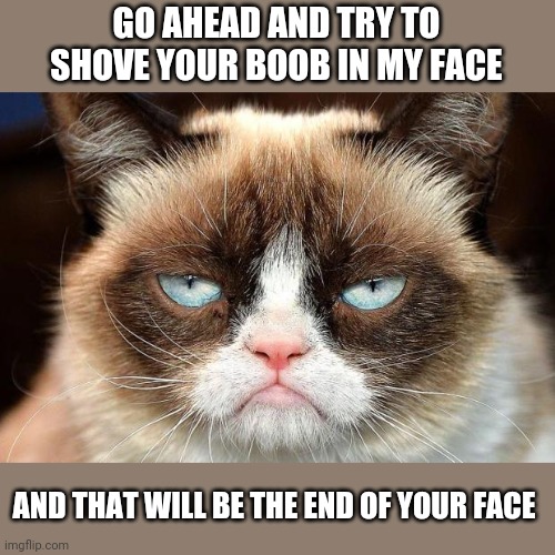 Grumpy Cat Not Amused Meme | GO AHEAD AND TRY TO SHOVE YOUR BOOB IN MY FACE AND THAT WILL BE THE END OF YOUR FACE | image tagged in memes,grumpy cat not amused,grumpy cat | made w/ Imgflip meme maker