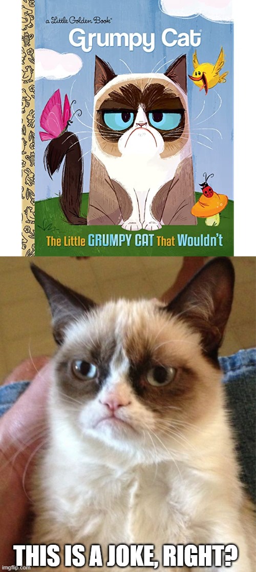THIS IS A JOKE, RIGHT? | image tagged in memes,grumpy cat | made w/ Imgflip meme maker