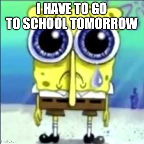 Sad Spongebob | I HAVE TO GO TO SCHOOL TOMORROW | image tagged in sad spongebob | made w/ Imgflip meme maker