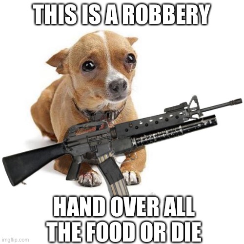 Oh no | THIS IS A ROBBERY; HAND OVER ALL THE FOOD OR DIE | image tagged in dog with a gun | made w/ Imgflip meme maker