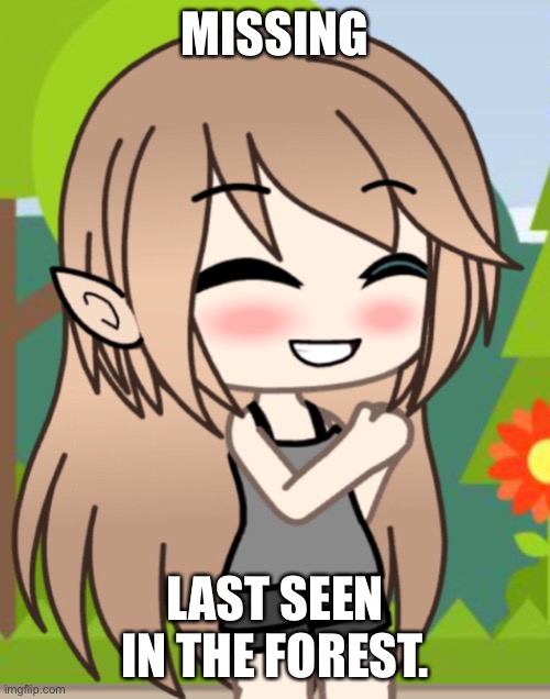 You see missing posters for her. You go and alert her dad and best friend. Dream smp rp. | MISSING; LAST SEEN IN THE FOREST. | image tagged in dream smp,why are you reading this,stop reading the tags | made w/ Imgflip meme maker